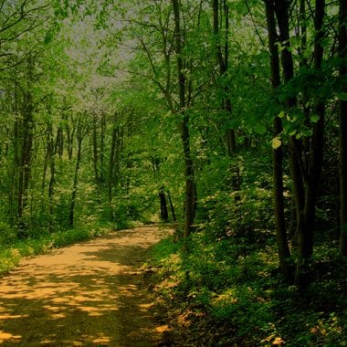 Road Trip Spirit by hotelF1